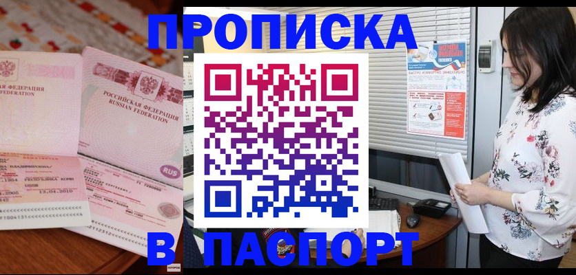 прописка гарантия в Бердске